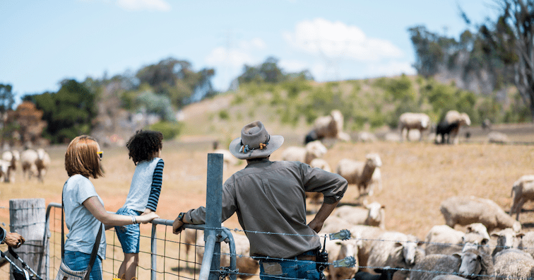 farmer with ukubra hat leans on a wire fence with his back to the camera, he is standing next to a woman and child who are behind teh fence overlooking a flock of sheep