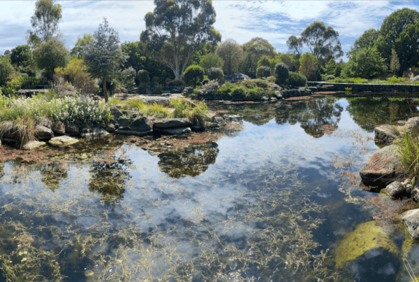 Beautiful gardens and waterway at a private estate in Clarkefield, Victoria