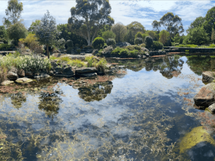 Beautiful gardens and waterway at a private estate in Clarkefield, Victoria